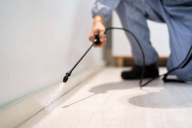 Licensed Pest Control service in Monroe, MI - Show Me Pest Control