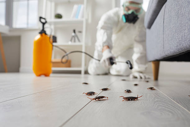 Post-Treatment Bed Bug Interceptor Monitoring in Monroe