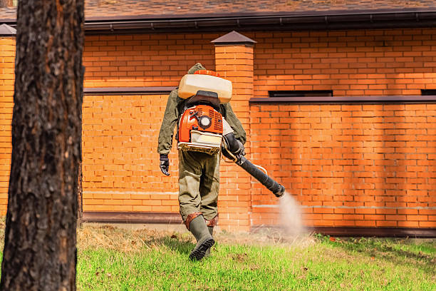 Bed Bug Clearance Verification and Documentation in Monroe